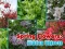 Mäng Spring Flowers: Hidden Objects Internetis