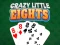 Mäng Crazy Little Eights Internetis