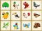Mäng Birds Board Puzzles Internetis