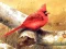 Mäng Art Birds Puzzle Internetis