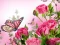 Mäng Butterflies Puzzle Internetis