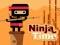 Mäng Ninja Time Internetis