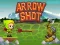 Mäng Arrow Shoot Internetis
