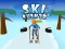 Mäng Ski Rush 3d Internetis