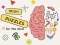 Mäng Brain Puzzles Quests Internetis
