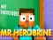 Mäng Mr Herobrine Internetis