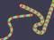 Mäng Slither Classic Internetis