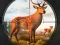 Mäng Wild Animal Hunting Internetis