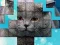 Mäng PicPu Cat Internetis