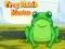 Mäng Frog Match Master Internetis
