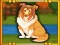 Mäng Bernese Mountain Dog Escape Internetis