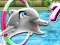 Mäng My Dolphin Show 7 Internetis