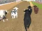 Mäng Angry Bull Racing Internetis
