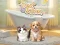 Mäng Pet Salon Internetis