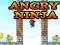 Mäng Angry Ninja Internetis