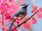 Mäng Lovable Birds Internetis