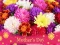 Mäng 2019 Mother's Day Puzzle Internetis