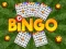 Mäng Bingo Internetis
