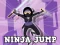 Mäng Ninja Jump Internetis