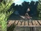Mäng Bike Trial Xtreme Forest Internetis