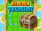 Mäng Hidden Treasure Internetis