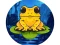 Mäng Frog Jumper Internetis