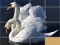 Mäng Animals Slide Puzzle Internetis