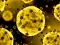 Mäng Coronavirus Slide Internetis