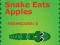 Mäng Snake Eats Apples Internetis