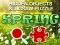 Mäng Hidjigs Spring Internetis
