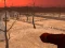 Mäng Wasteland Shooters Internetis