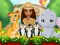 Mäng Moana Cute Zoo Internetis