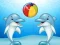 Mäng Dolphin Show Internetis