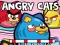 Mäng Angry Cats Internetis