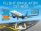 Mäng Flight Simulator 737-800 Internetis