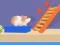 Mäng Hamster Maze Online Internetis