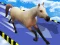 Mäng Animal Impossible Track Rush Internetis