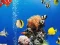 Mäng Sea Underwater Difference Internetis