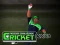 Mäng Cricket Fielder Challenge Internetis
