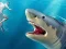 Mäng Shark Hunting Internetis