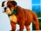 Mäng Bulldog Puppy Puzzle Internetis