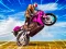 Mäng Crazy Wheelie Motorider Internetis