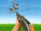 Mäng Bird Hunting Internetis