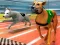 Mäng Dogs 3D Races Internetis