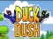 Mäng Duck Dash Internetis
