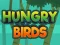 Mäng Hungry Birds Internetis