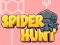 Mäng Spider Hunt Internetis
