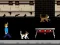 Mäng Streamer Fashion Run Internetis