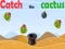 Mäng Catch The Cactus Internetis