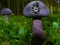 Mäng Mushroom Forest Adventure Internetis